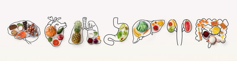 Why Antioxidants Are Amazing