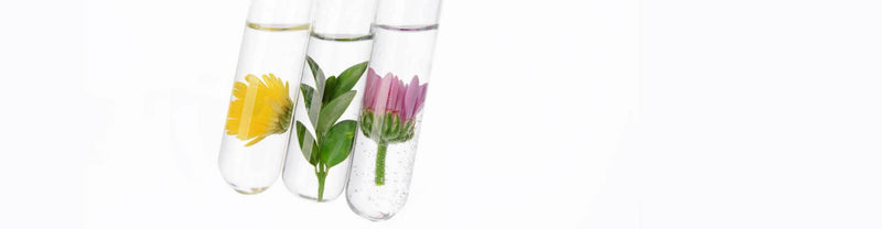 Why use plant stem cell extracts made in a lab?